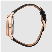 Watch Lucien Rochat Man in Steel yellow gold plated R0421115001 - R0421115001